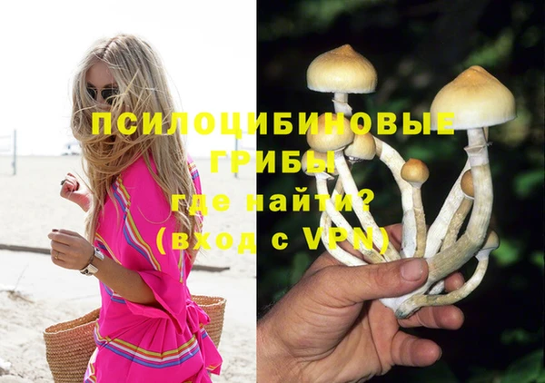 гашик Баксан