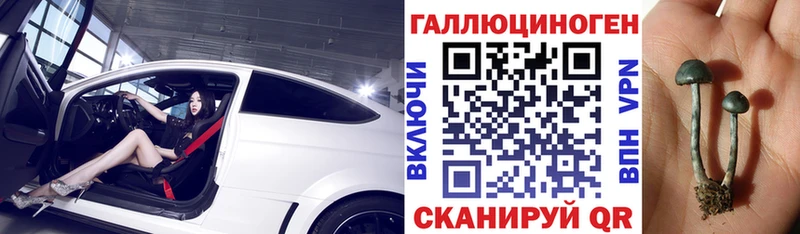 Псилоцибиновые грибы MAGIC MUSHROOMS  где можно купить наркотик  Крымск 